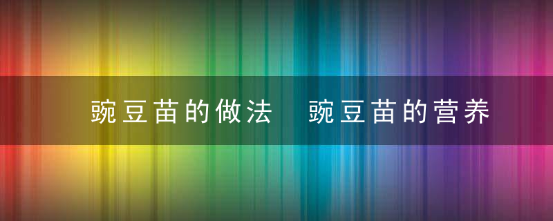 豌豆苗的做法 豌豆苗的营养价值